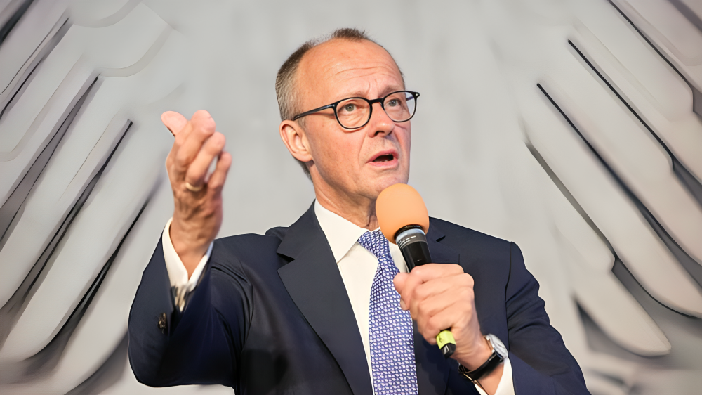 Friedrich Merz Privatvermögen
